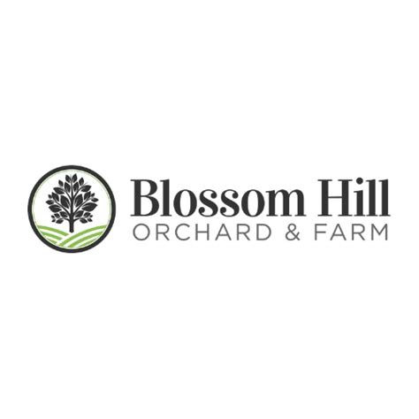 apple orchard preston mn|blossom hill orchard mn.